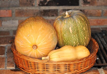 Harvest autumn basket