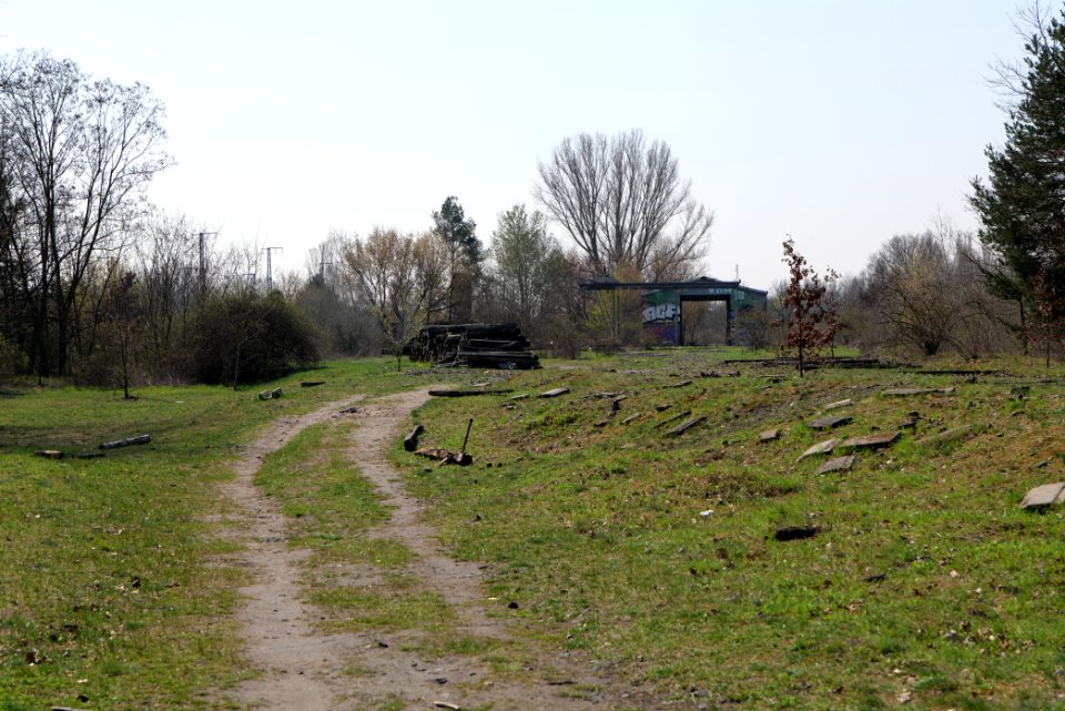 NSG Biesenhorster Sand 2021-04-20 81