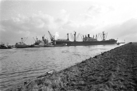 Noordzeekanaal gestremd, aanvaring tussen Panamees Alexandra K en de Averdijk, Bestanddeelnr 916-1415