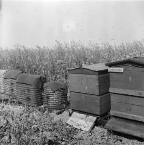 Noordoostpolder, Bestanddeelnr 901-7632