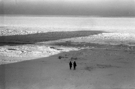 Noordzee voor de kust van Zandvoort dichtgevroren, Bestanddeelnr 914-7456