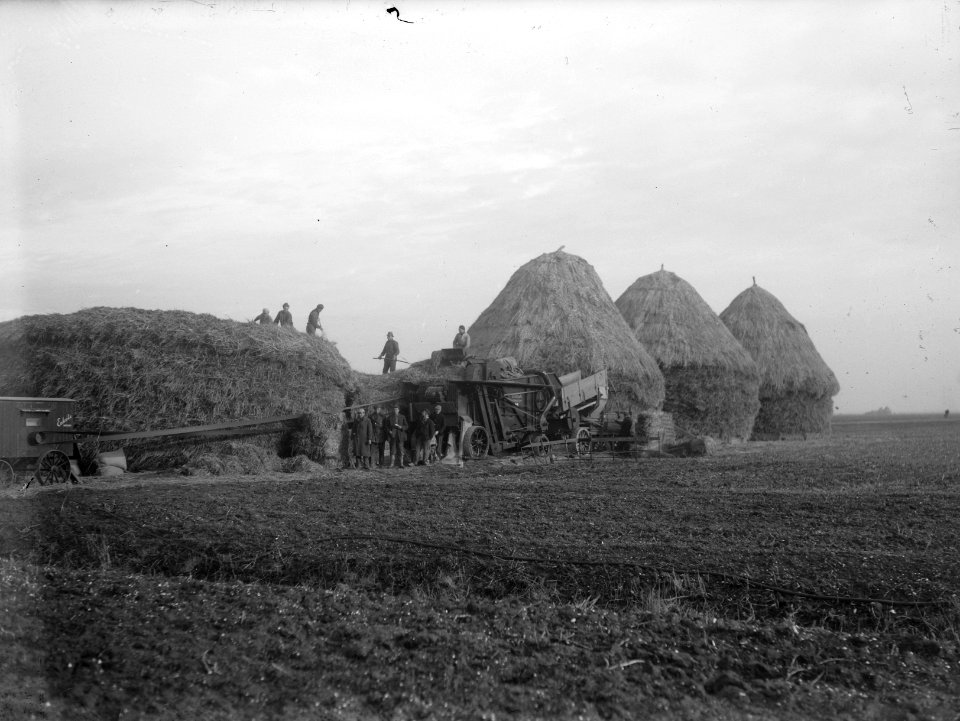 Noordoostpolder. Hooimijten, Bestanddeelnr 901-3663