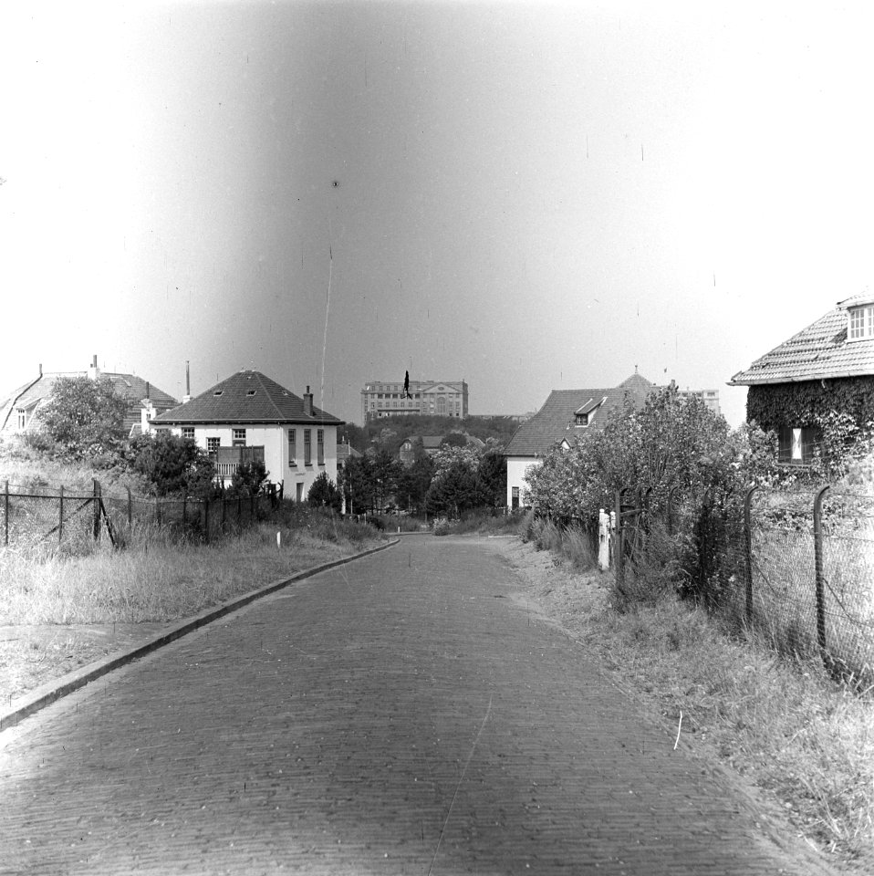 Noordwijk aan Zee, zicht op Huis ter Duin via Prins Hendrikweg, Bestanddeelnr 900-4969