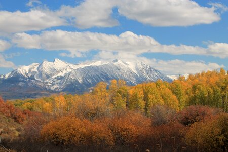 Landscape aspen rocky