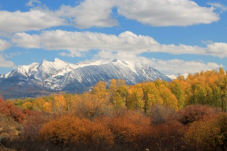 Landscape aspen rocky photo