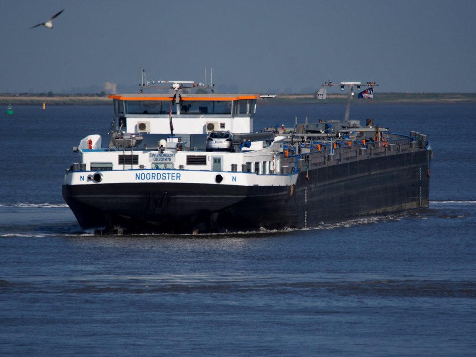 Noordster - ENI 02331876, Schelde, Antwerpse haven, pic2