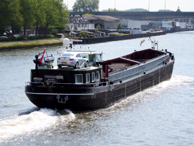 Noordster - ENI 03170599, Amsterdam-Rijn kanaal, pic4