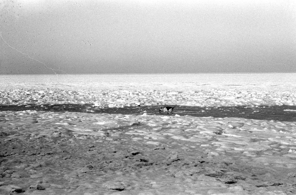 Noordzee voor de kust van Zandvoort dichtgevroren, Bestanddeelnr 914-7454