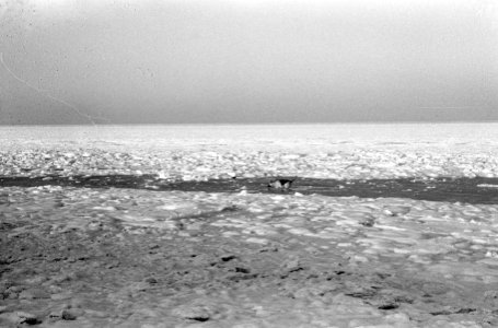 Noordzee voor de kust van Zandvoort dichtgevroren, Bestanddeelnr 914-7454