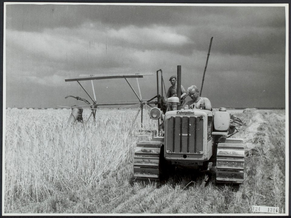 Noordoostpolder, landbouw, Bestanddeelnr 124-1316