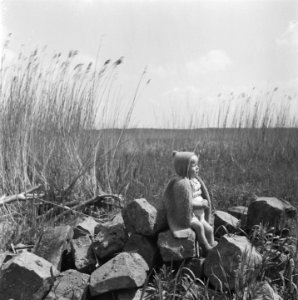 Noordoostpolder, Bestanddeelnr 901-7377