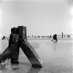 Noordwijk aan Zee, strandleven temidden van aspergeversperringen, Bestanddeelnr 900-4972