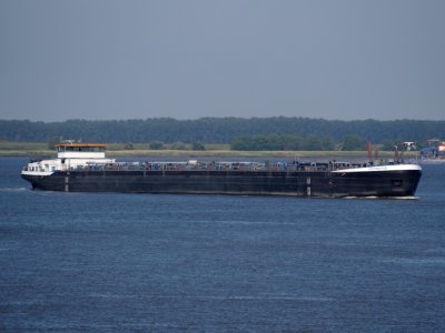 Noordster - ENI 02331876, Schelde, Antwerpse haven, pic1