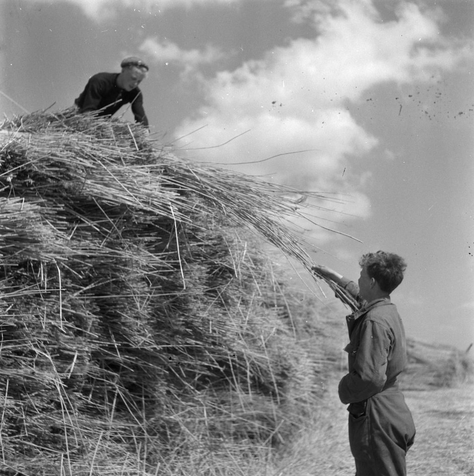 Noordoostpolder, Bestanddeelnr 901-7378
