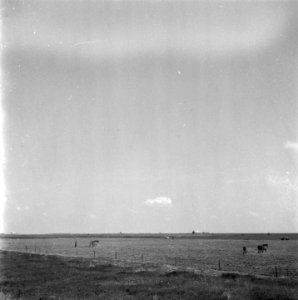 Noordoostpolder, Bestanddeelnr 901-7374