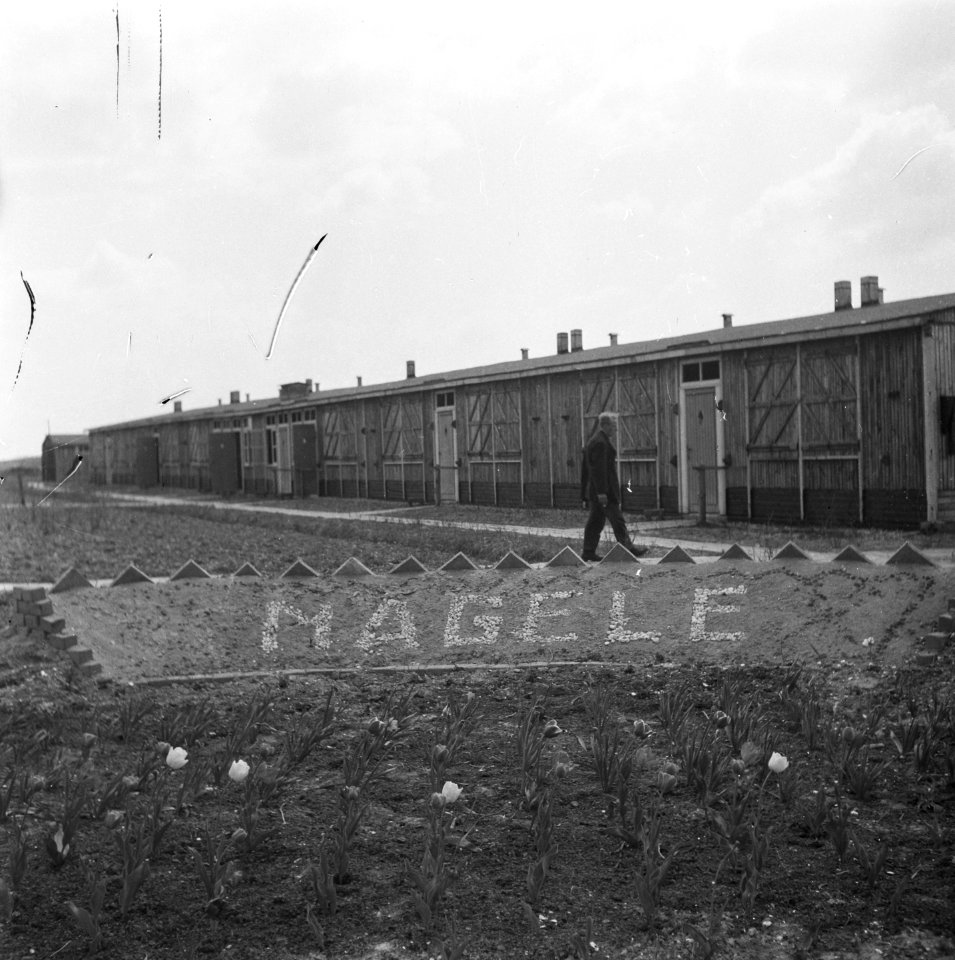 Noordoostpolder, Bestanddeelnr 901-7368