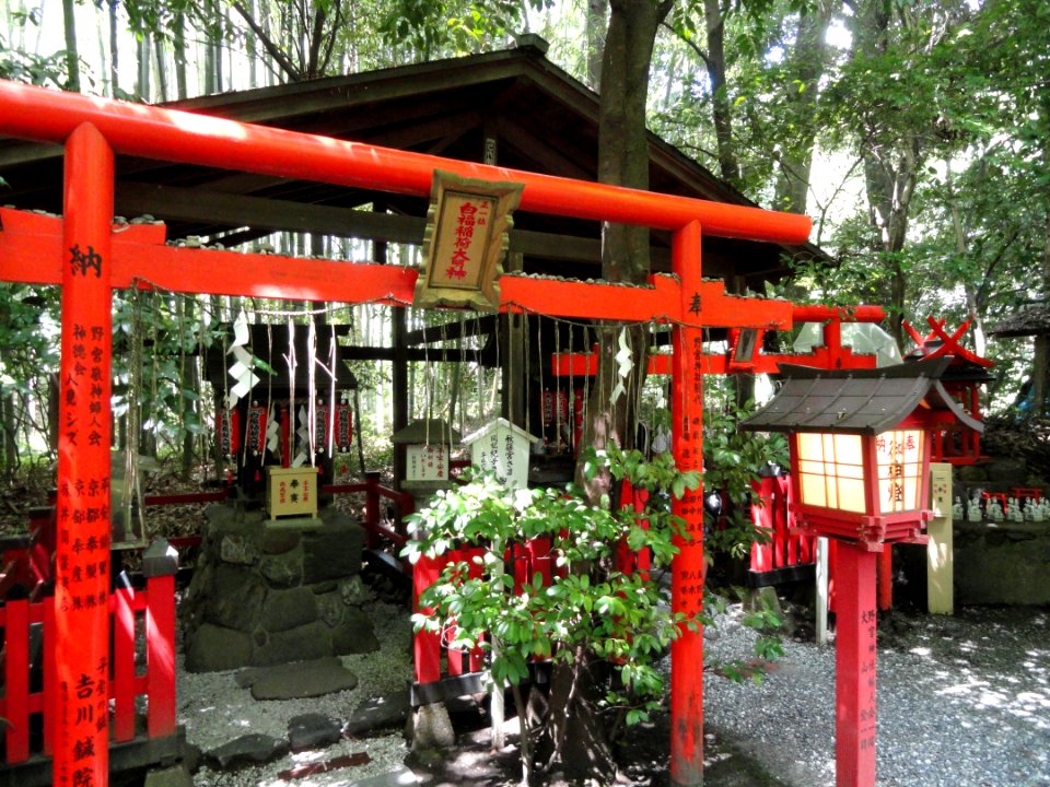 Nonomiya-jinja - Kyoto - DSC06116