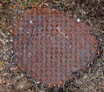 Nonskid - Arlington, MA - DSC09777