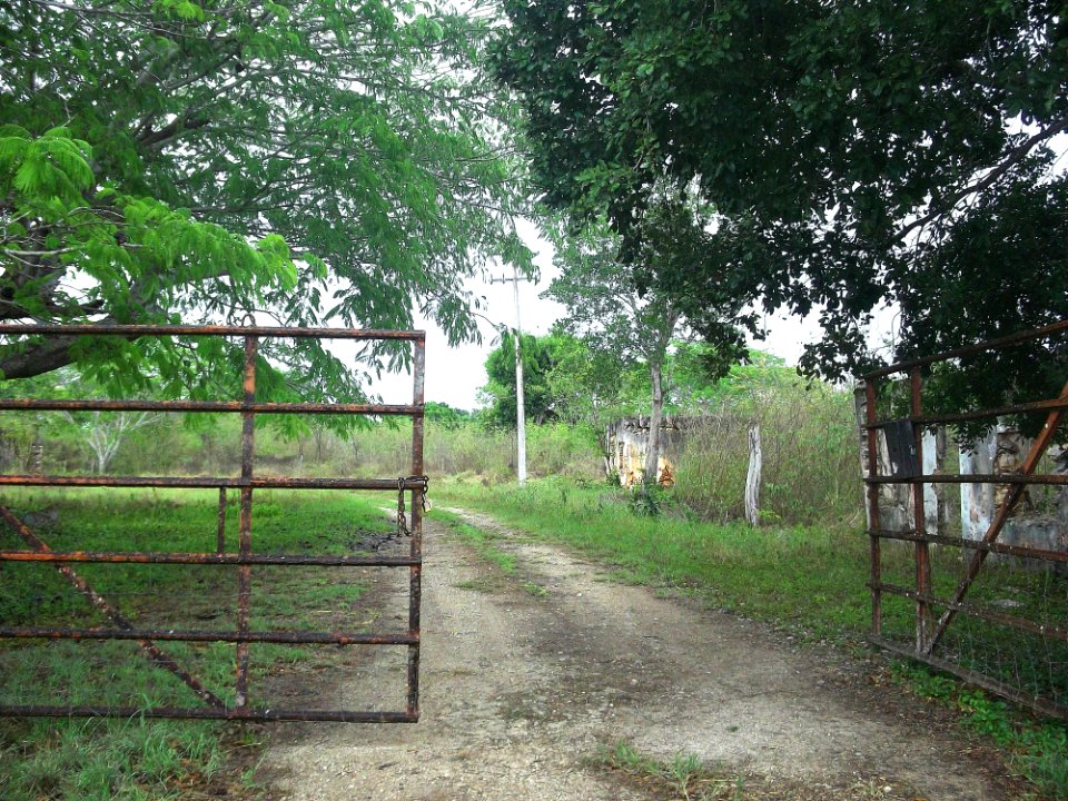 Nohchán, Yucatán (01)