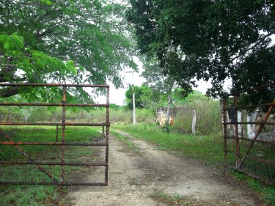 Nohchán, Yucatán (01)