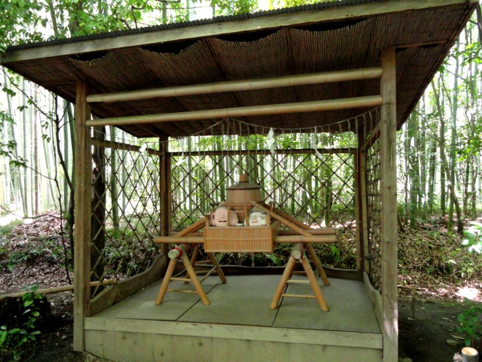 Nonomiya-jinja - Kyoto - DSC06115