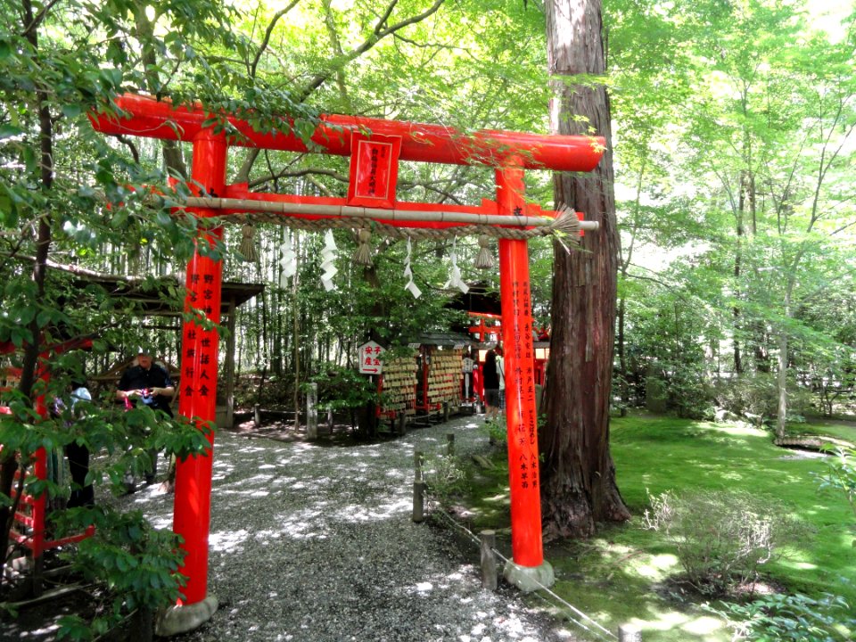 Nonomiya-jinja - Kyoto - DSC06114