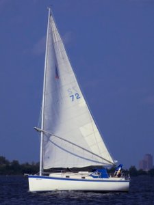 Nonsuch 26 sailboat Swan Song 3931