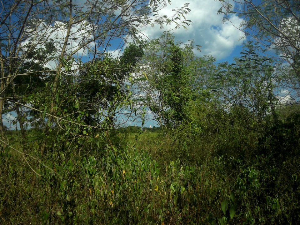 Nohchán, Yucatán (04)