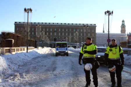 Nordiska Motståndsrörelsen Demonstration 2016 33