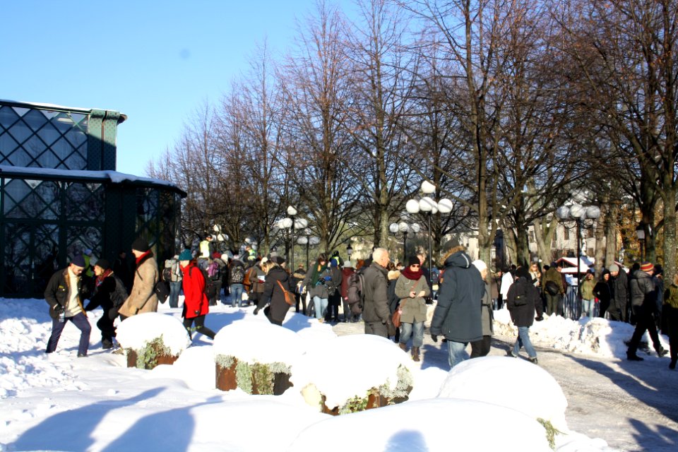 Nordiska Motståndsrörelsen Demonstration 2016 22
