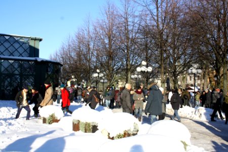 Nordiska Motståndsrörelsen Demonstration 2016 22