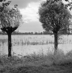 Normalisatie van beken, graven en dempen van sloten, nieuwe wetering, Bestanddeelnr 250-8038