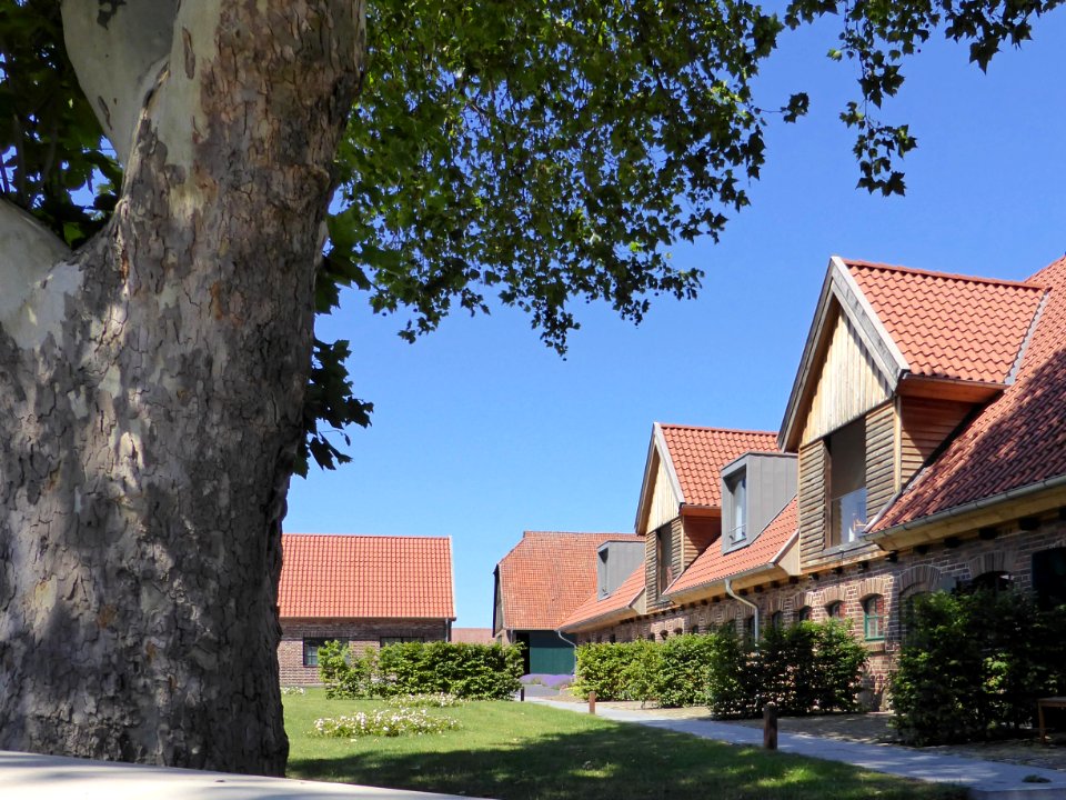 Nordsteimke Yard 2019-4A