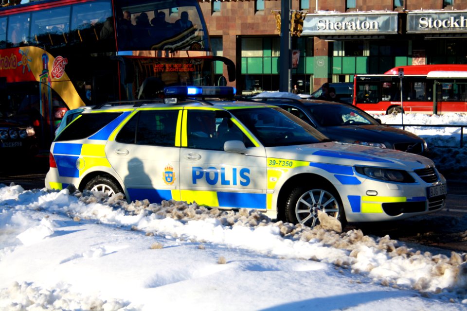 Nordiska Motståndsrörelsen Demonstration 2016 43