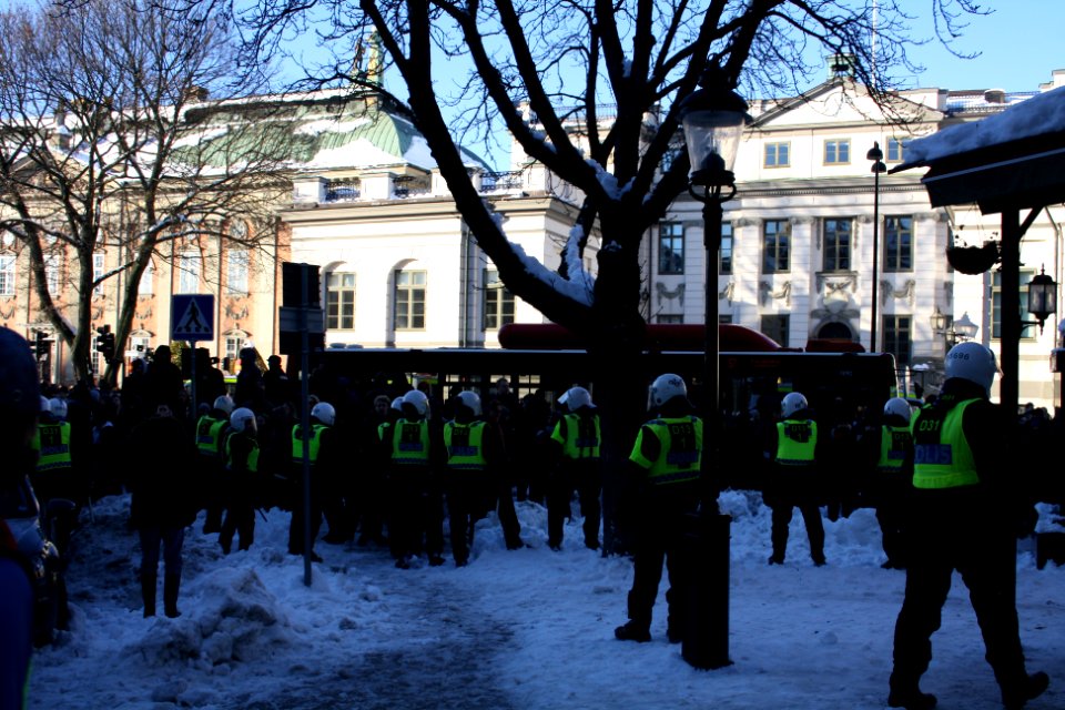 Nordiska Motståndsrörelsen Demonstration 2016 38
