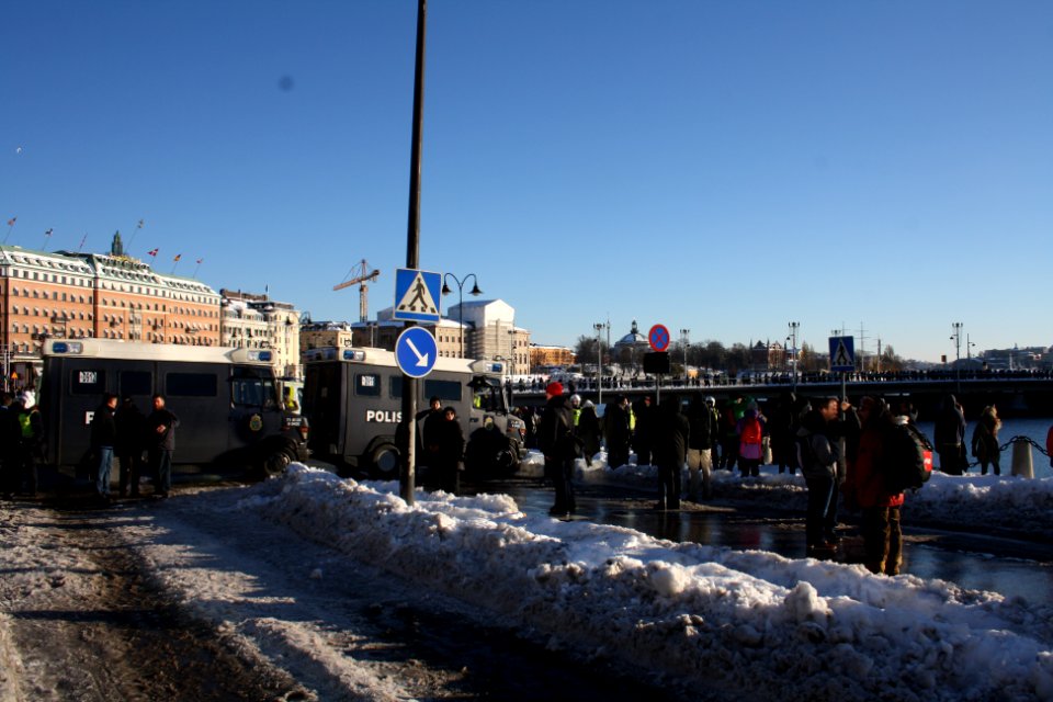 Nordiska Motståndsrörelsen Demonstration 2016 32