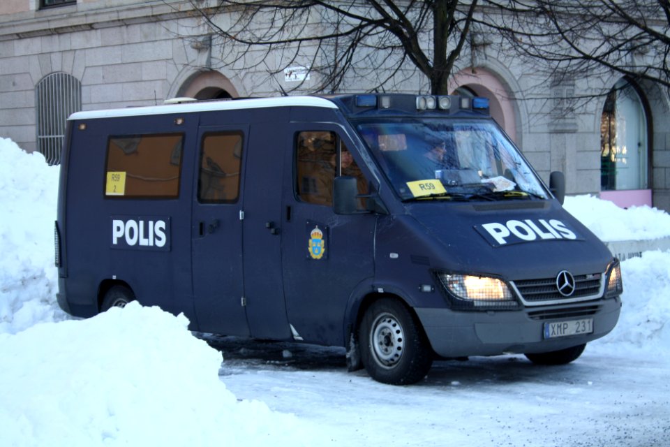 Nordiska Motståndsrörelsen Demonstration 2016 09