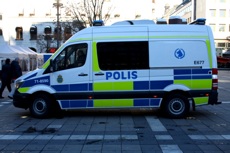 Nordiska Motståndsrörelsen Demonstration 2016 13
