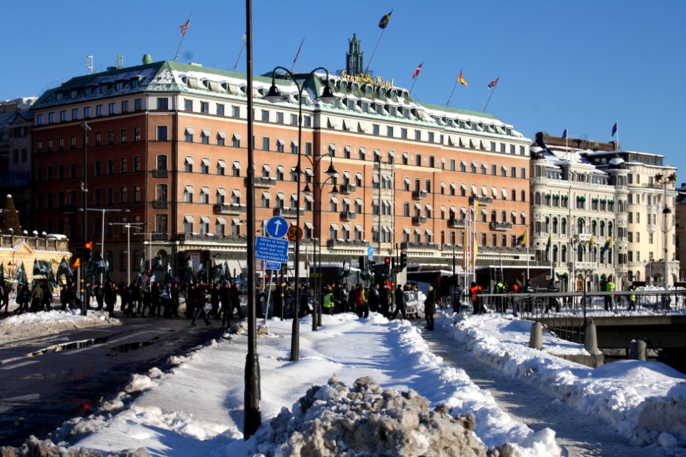 Nordiska Motståndsrörelsen Demonstration 2016 26