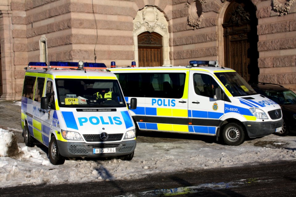 Nordiska Motståndsrörelsen Demonstration 2016 06