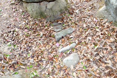 Nomura Hachiman Kofun, mizo