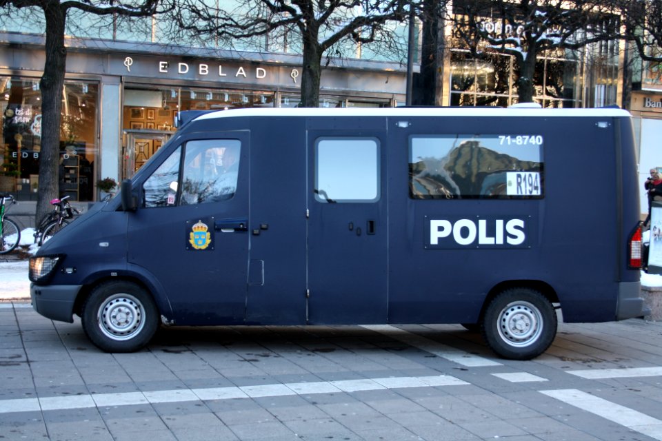 Nordiska Motståndsrörelsen Demonstration 2016 12