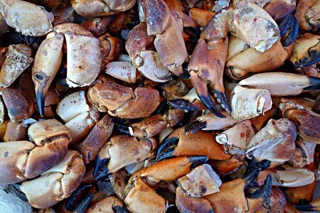 Food market nutrition