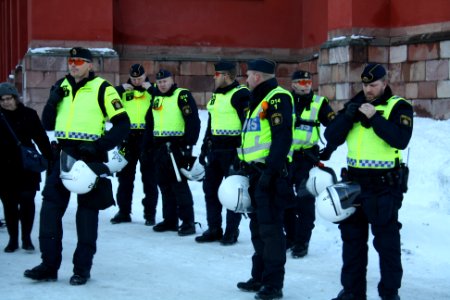 Nordiska Motståndsrörelsen Demonstration 2016 17