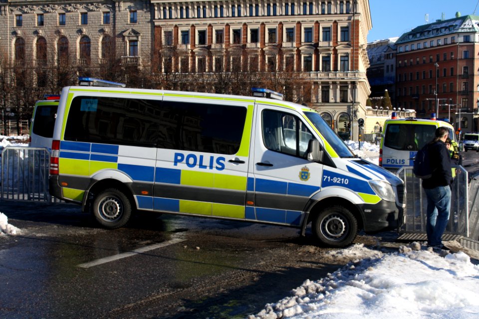 Nordiska Motståndsrörelsen Demonstration 2016 08