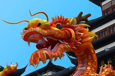 Shanghai festival dragon photo