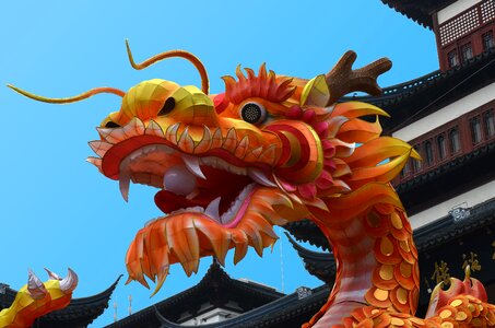 Shanghai festival dragon
