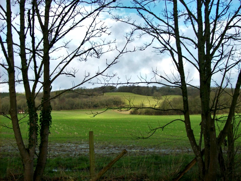 North Downs at Chevening 2