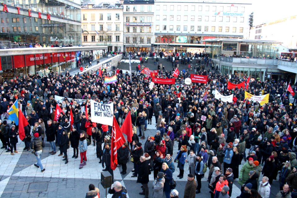 Nordiska Motståndsrörelsen Demonstration 2016 03