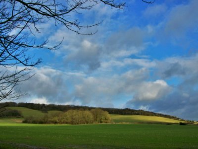 North Downs at Chevening 1